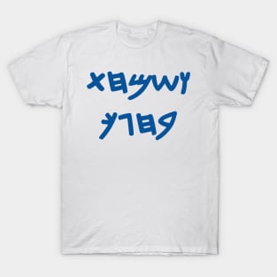 And You Shall Rejoice On Your Holiday (Paleo-Hebrew) T-Shirt